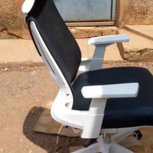 premium office chair for healthy posture