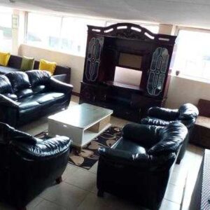 elegant living room couch walnut
