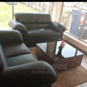 spacious modern couch plush