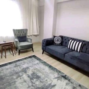 stylish midnight blue sofa elegant
