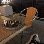 weatherproof poolside chair